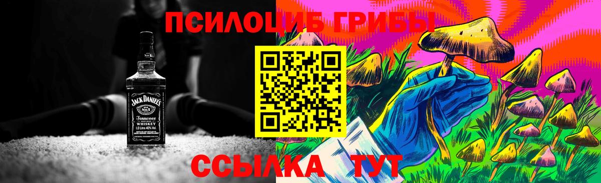 Галлюциногенные грибы MAGIC MUSHROOMS  Вход с VPN  Соль-Илецк 