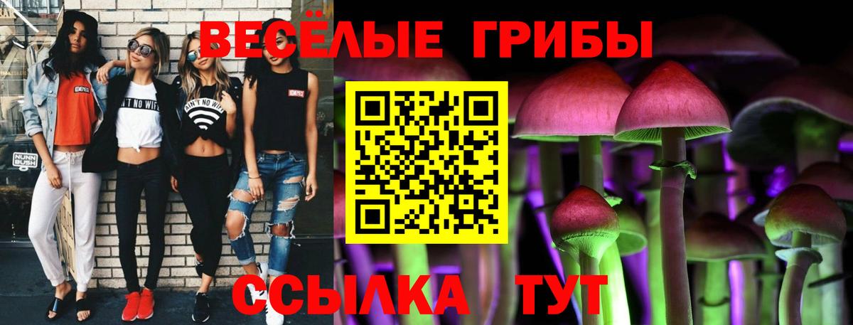 Псилоцибиновые грибы Cubensis Соль-Илецк
